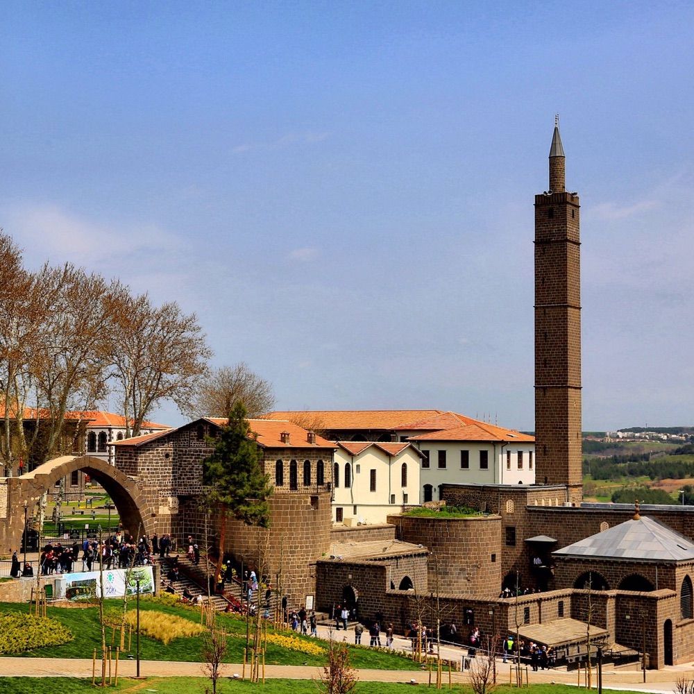 Amed