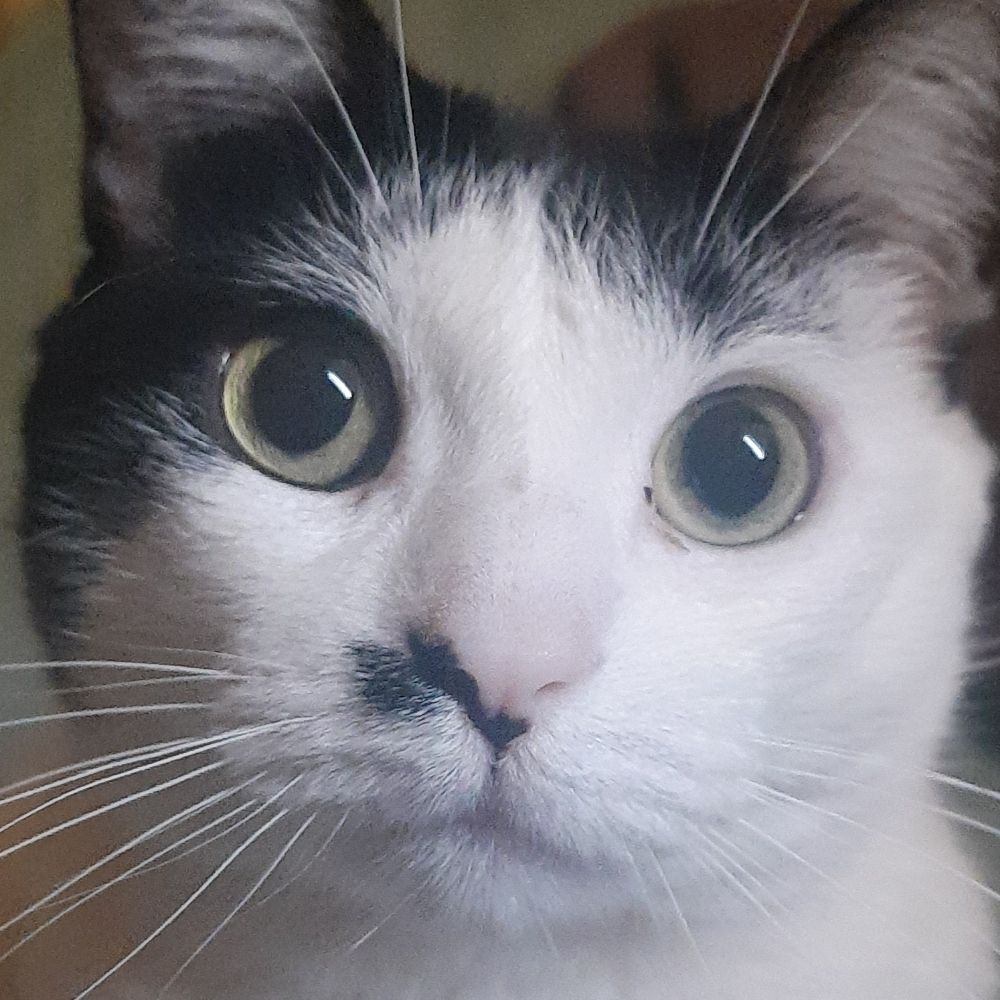 isadiva_belinha_lindinha