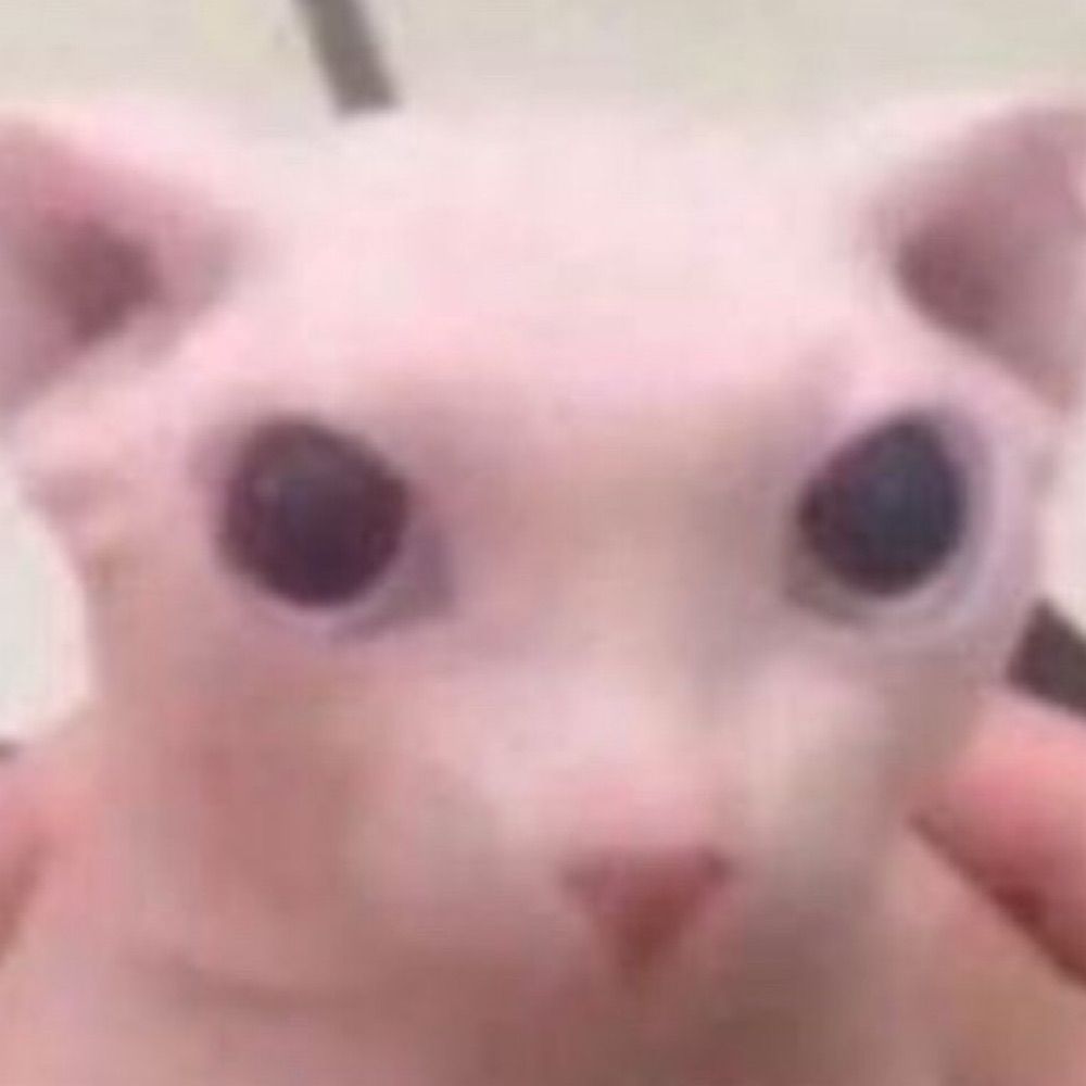 Rsy¡