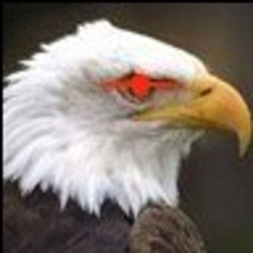 American Eagle