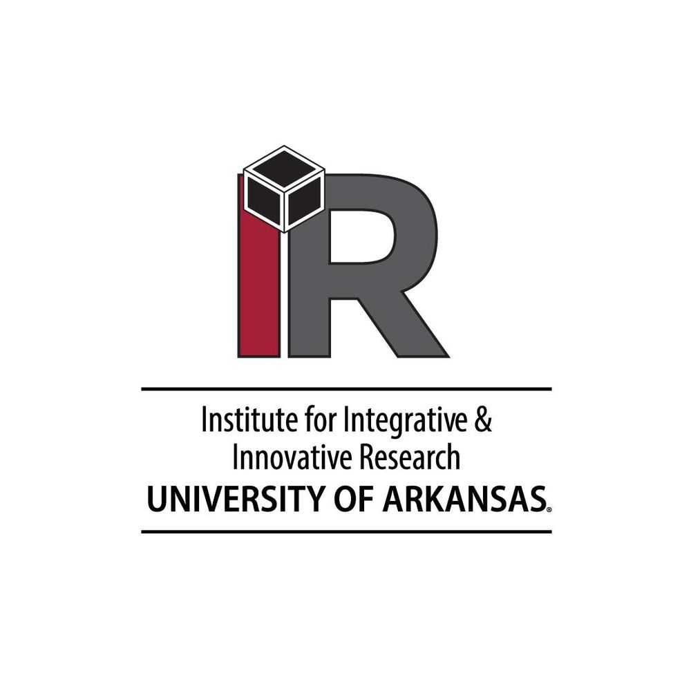 Institute for Integrative and Innovative Research 