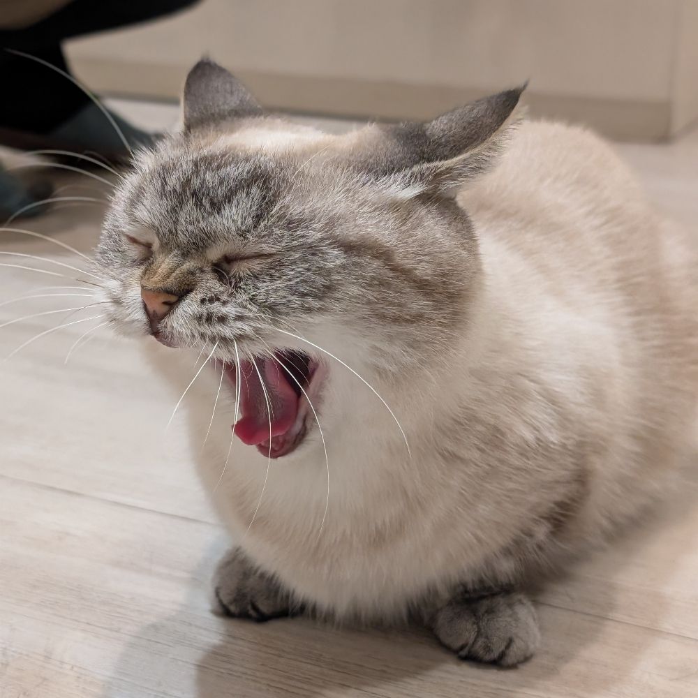 Manku003