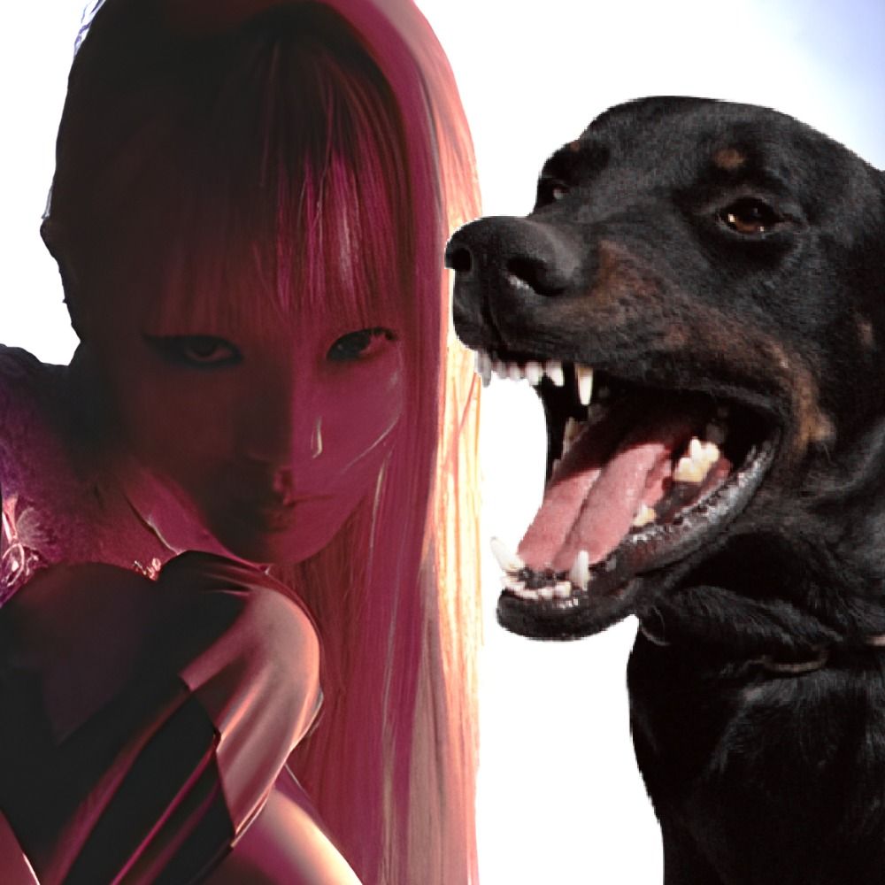 Mãe de pet a página