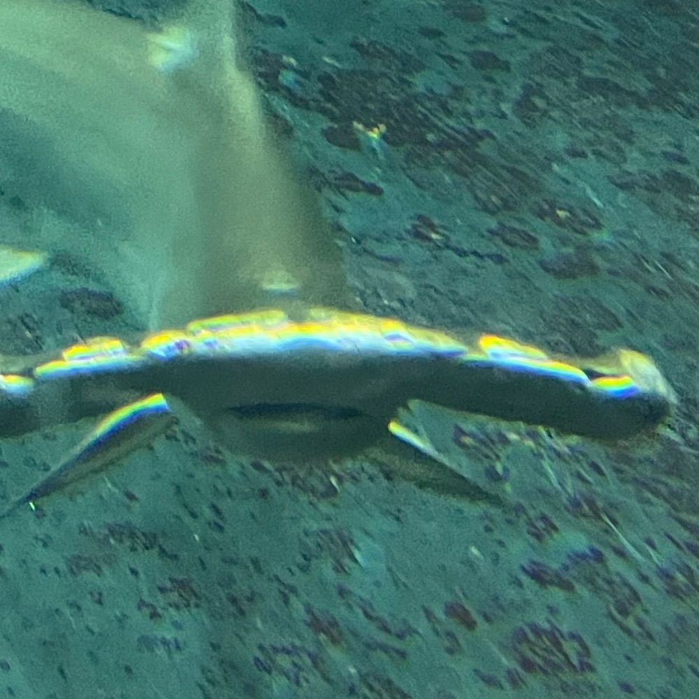 Uたろ