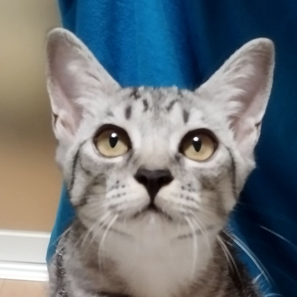 She