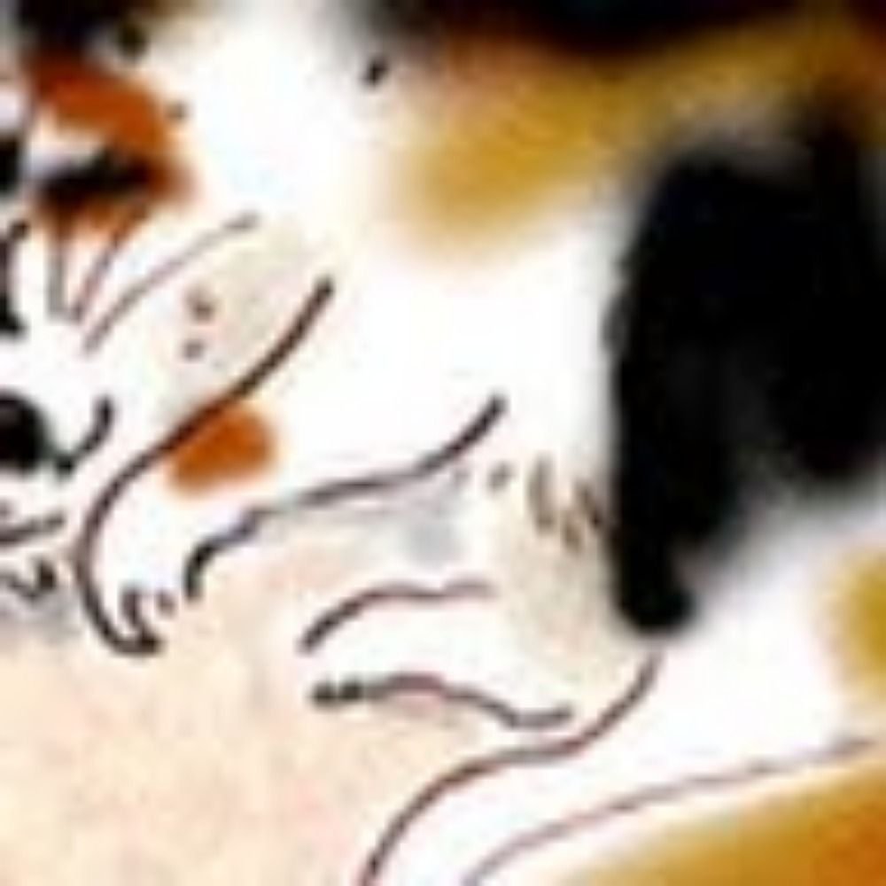 猫の夜会