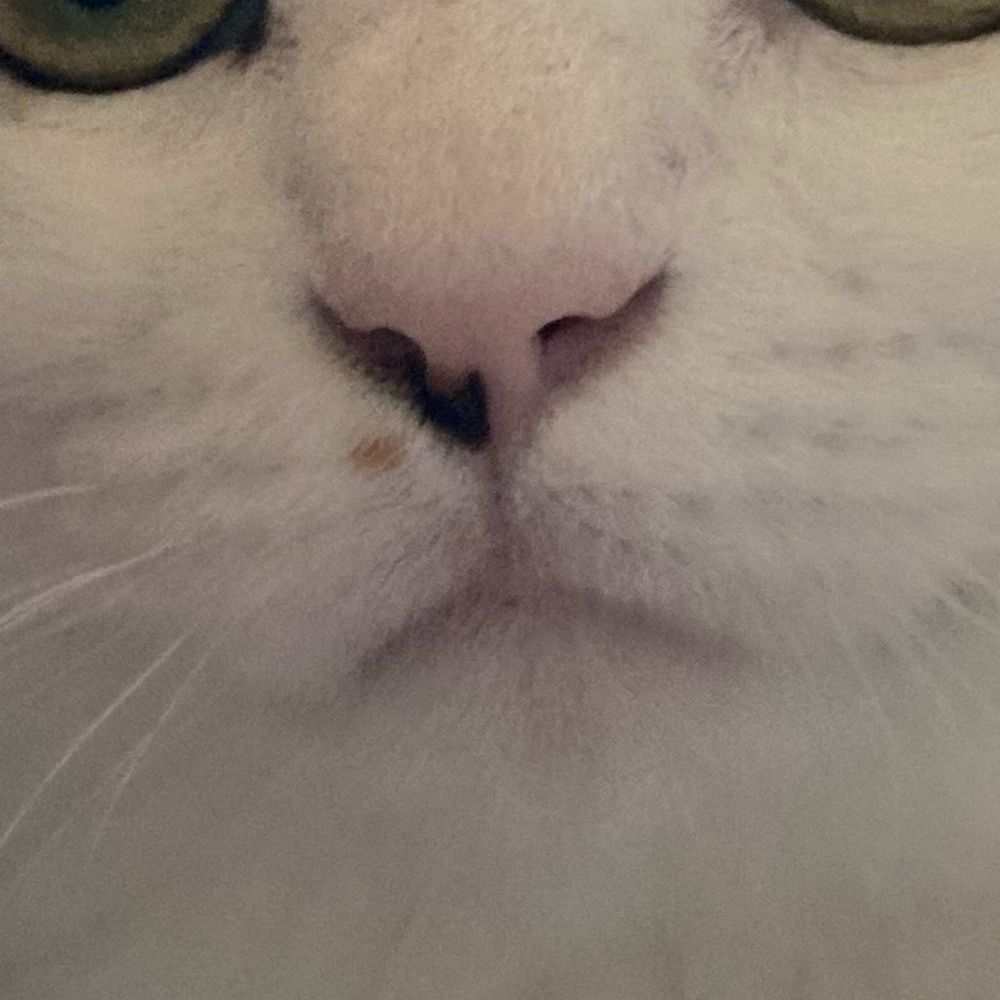 ﾄｻ