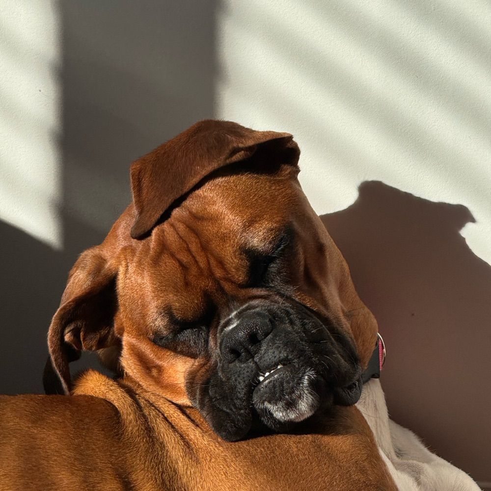 Big Chillin