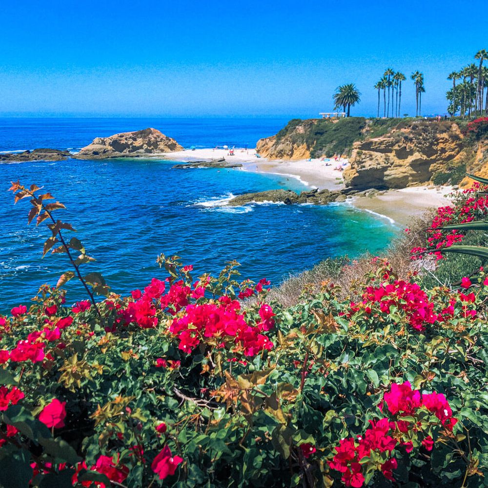 OC Living