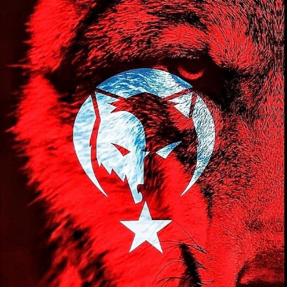 Kenan BiLiR