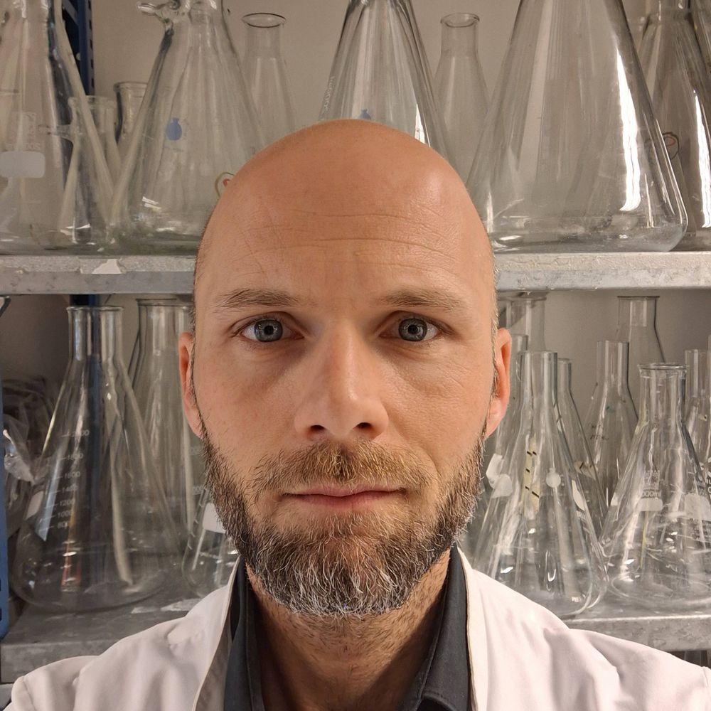 Tom Driedonks