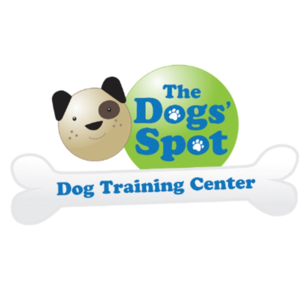 The Dogs' Spot - Dog Training Center and Boutique