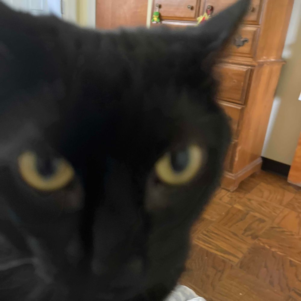 ed(real)