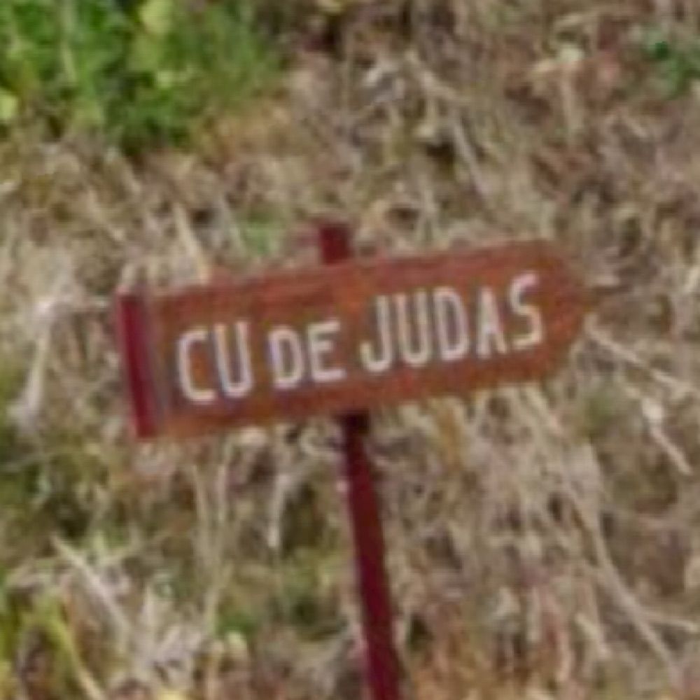RAPIDINHA