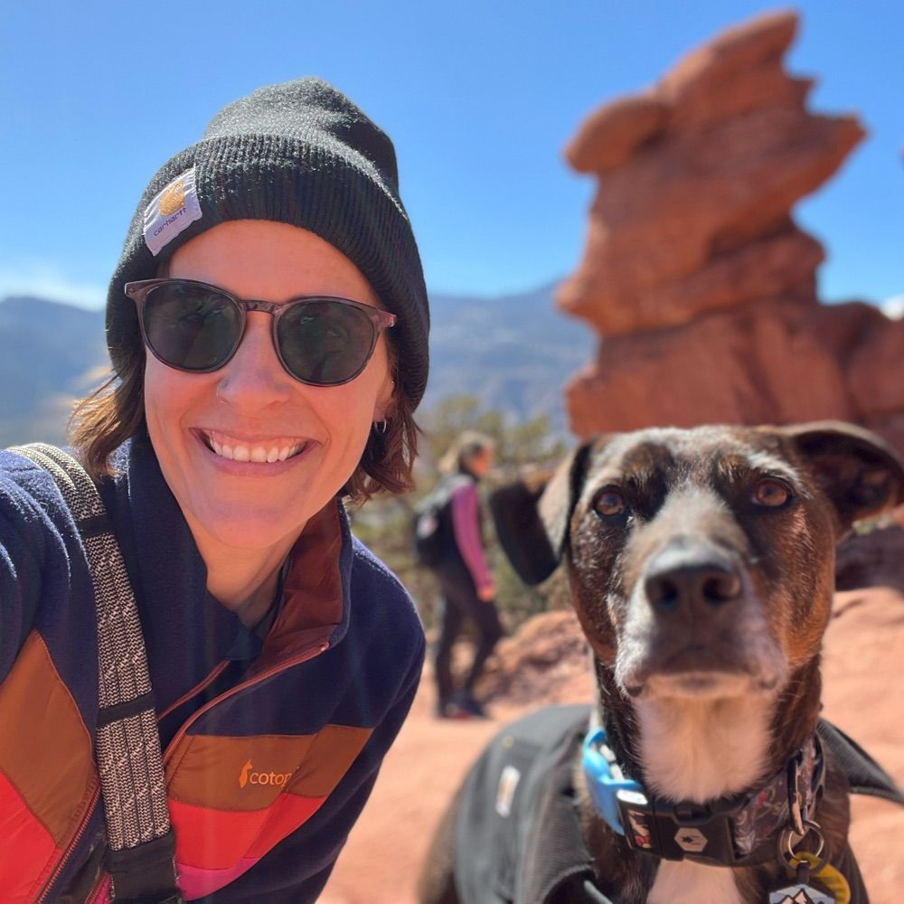 spicegrohls.bsky.social