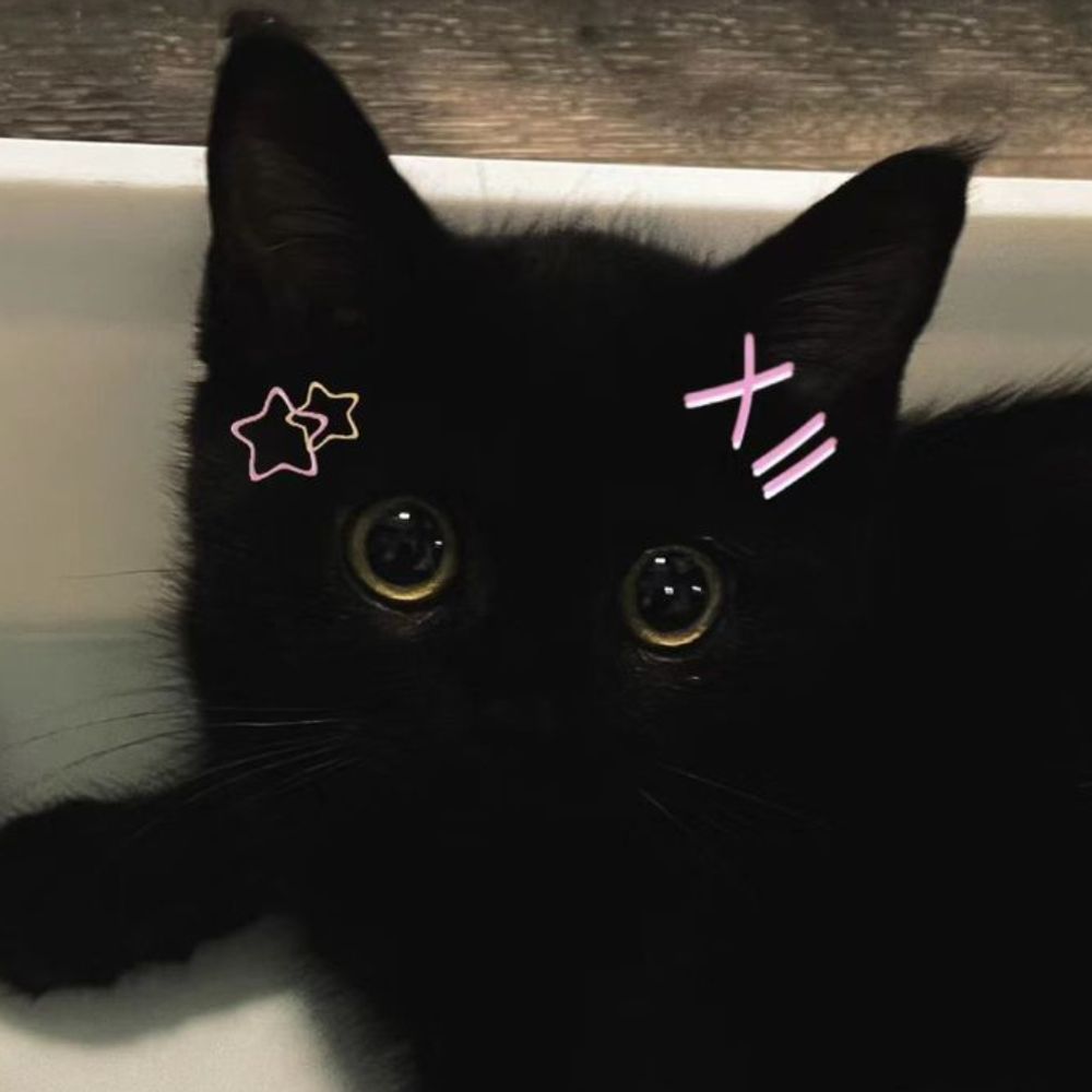 ✧･ﾟвαву 🌸🩷✨