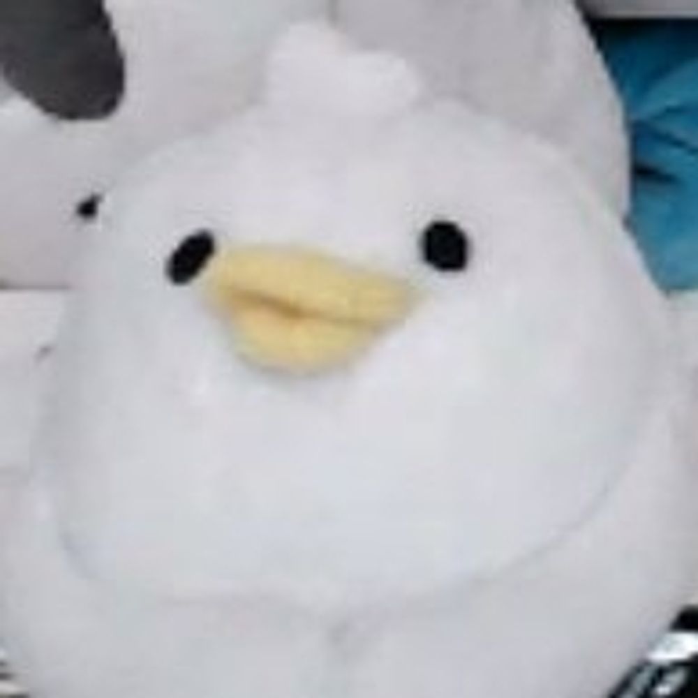 렉스