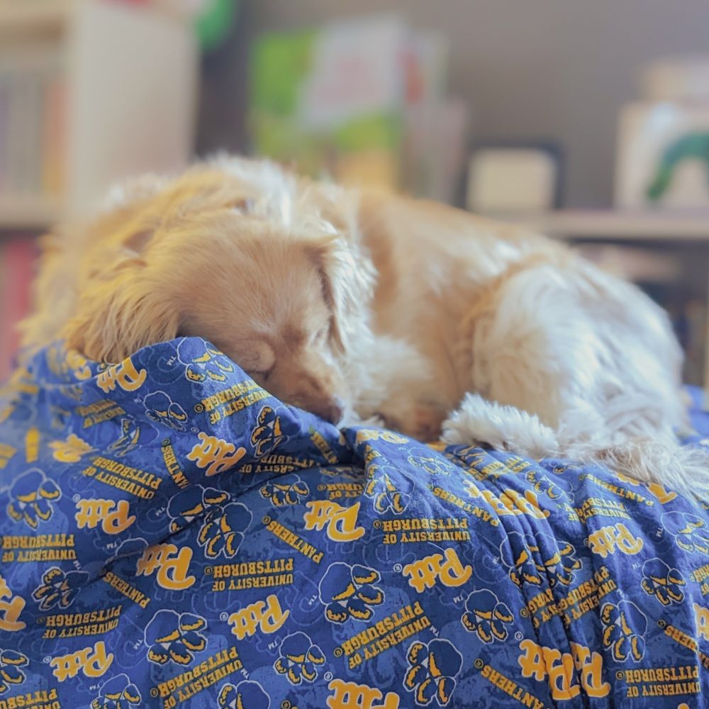 sami 💙🫶📖💛