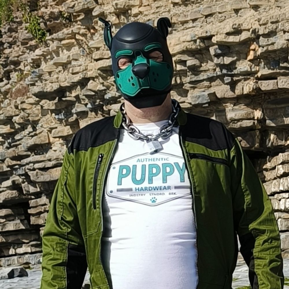 Doggo Kvasir