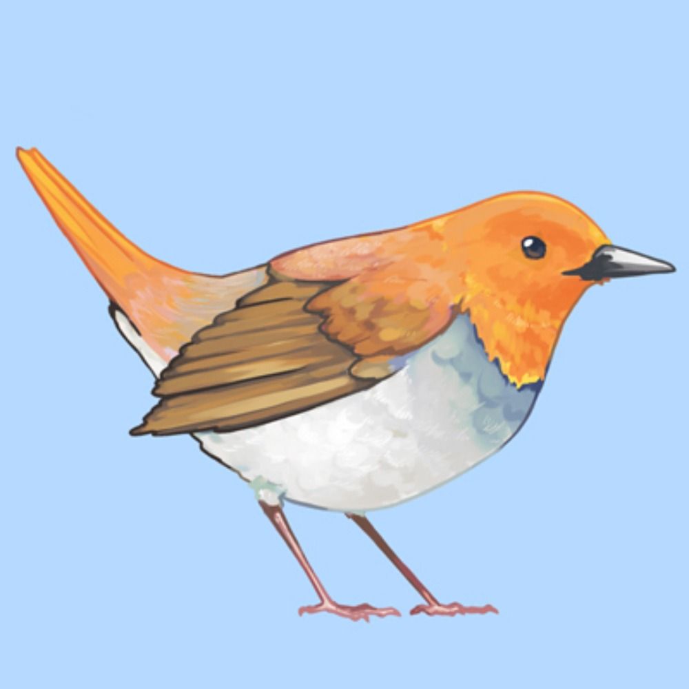 駒鳥
