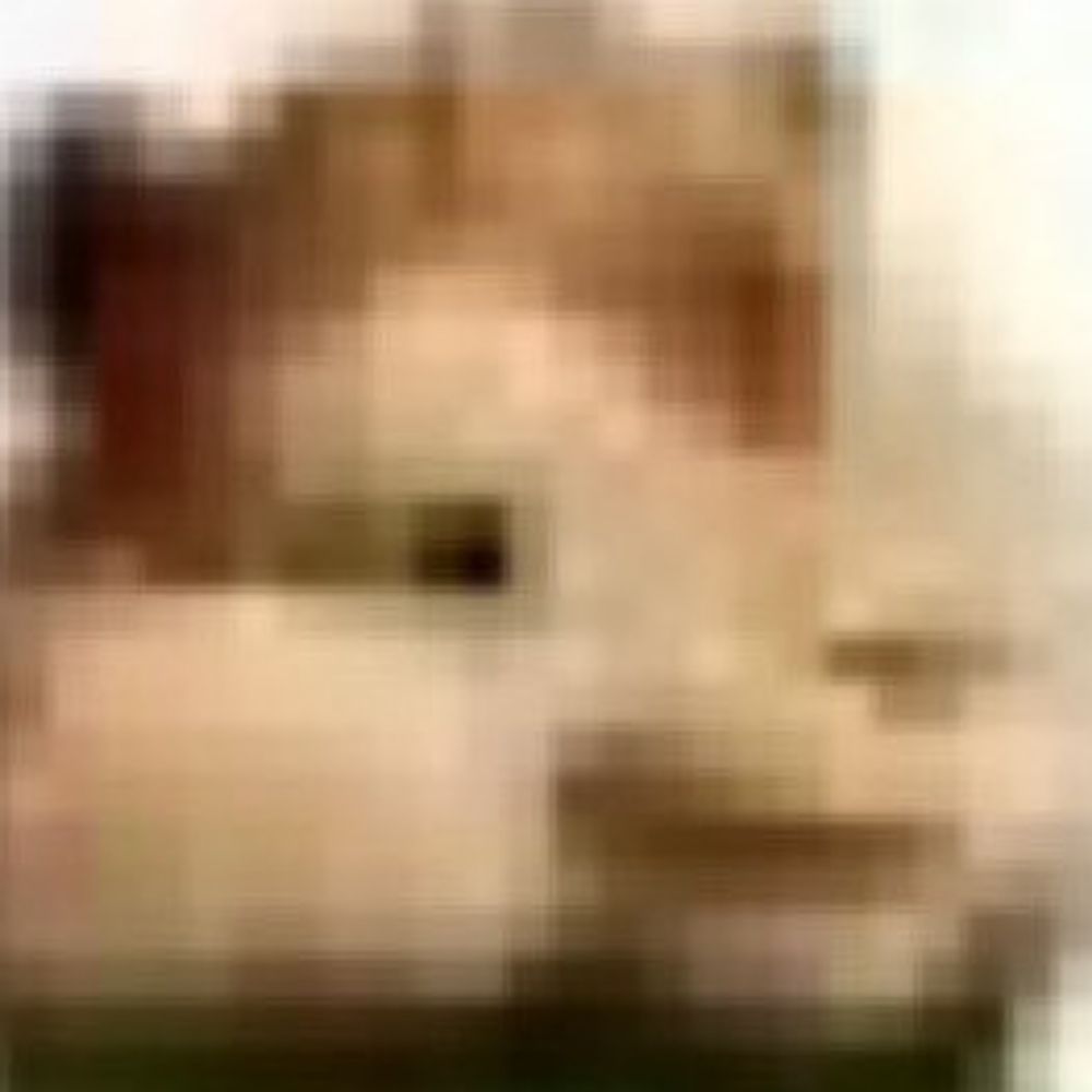 BoiBoiola