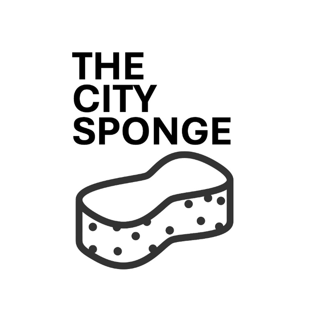 thecitysponge.bsky.social