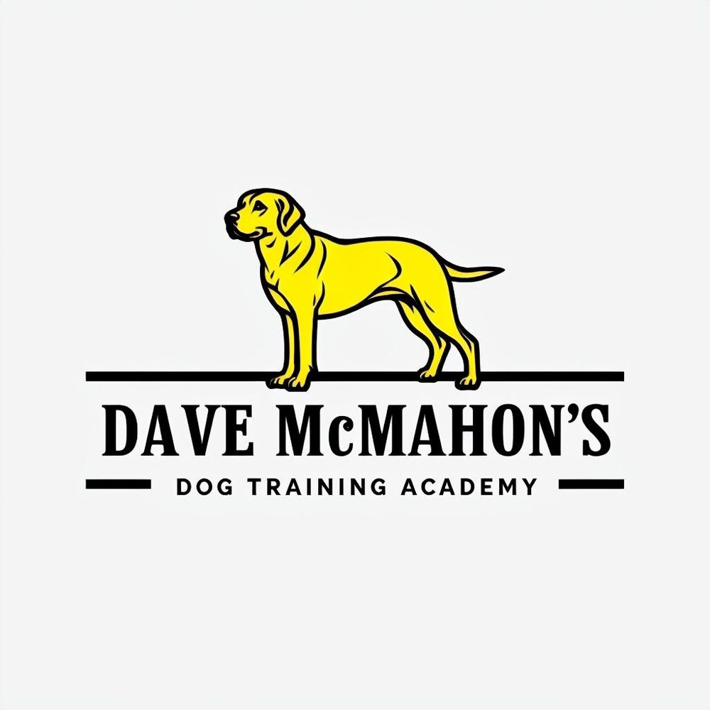 Dave McMahon