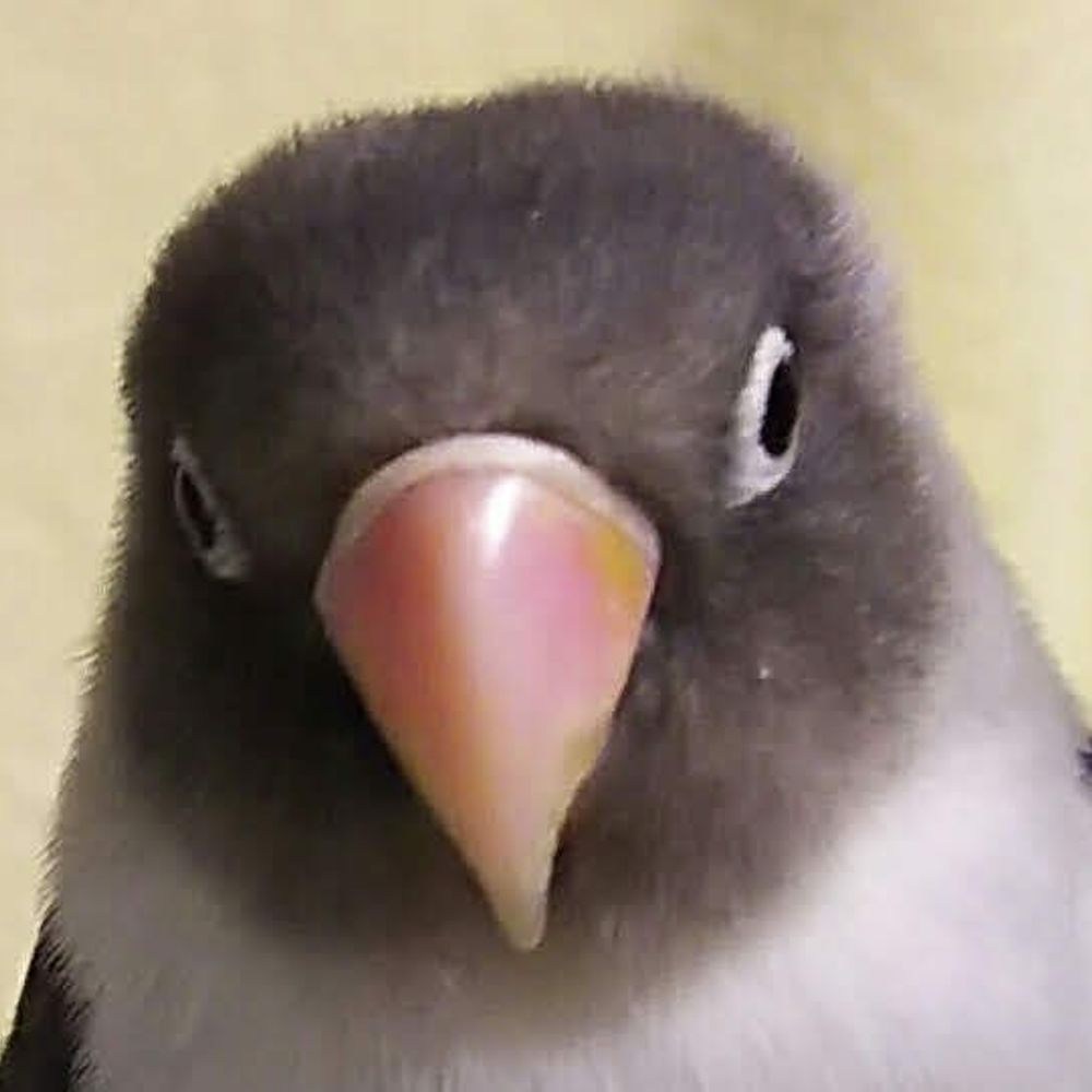 あーる