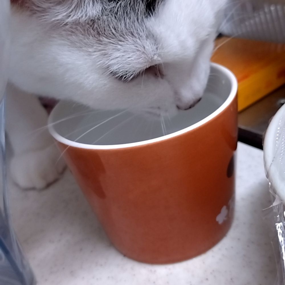 ごう