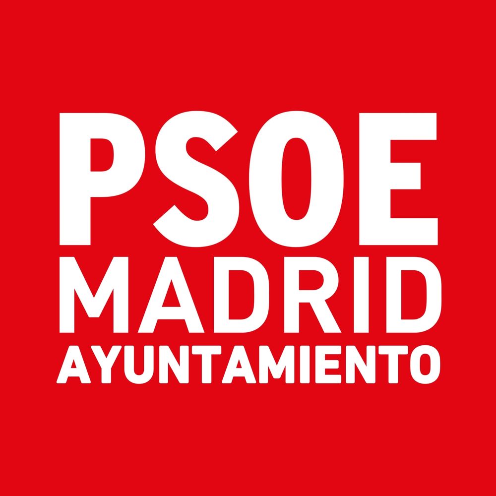 PSOE Madrid Ayuntamiento