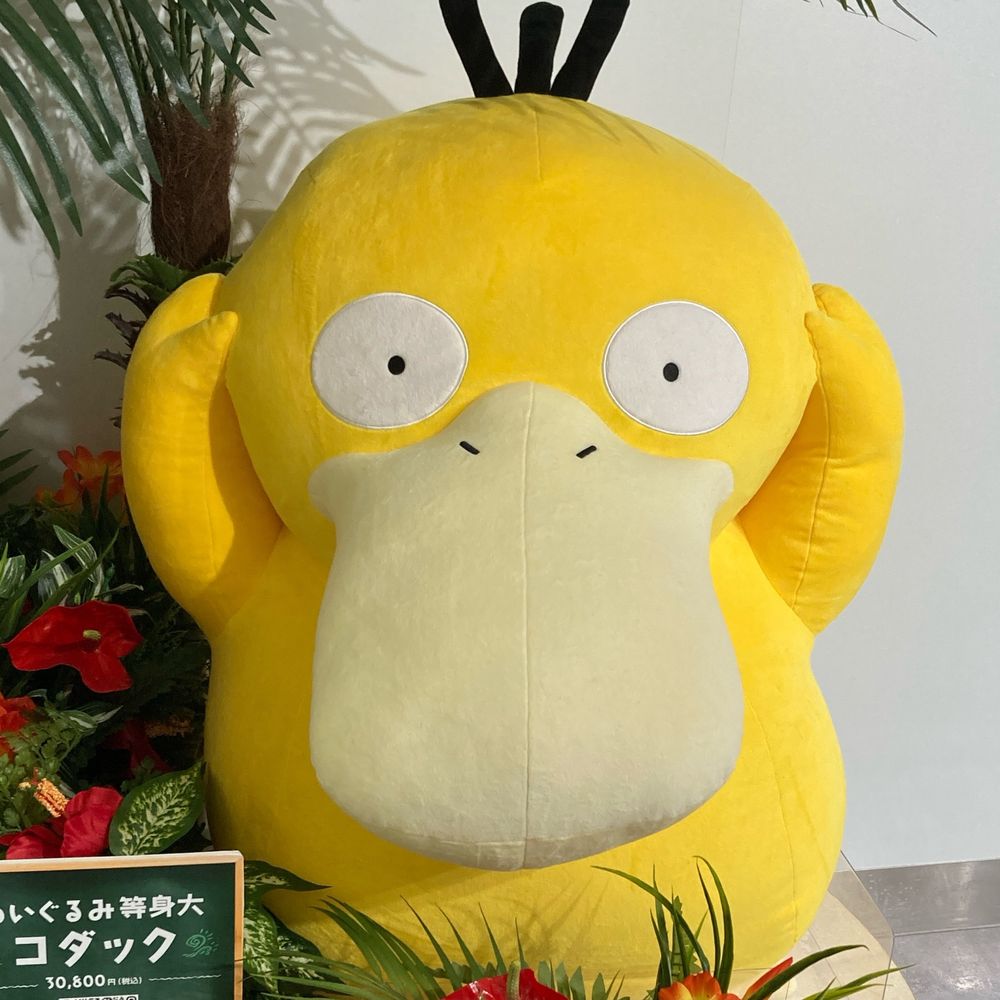 はち