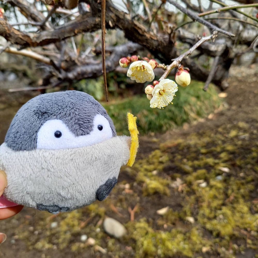 ありおおじいちゃん