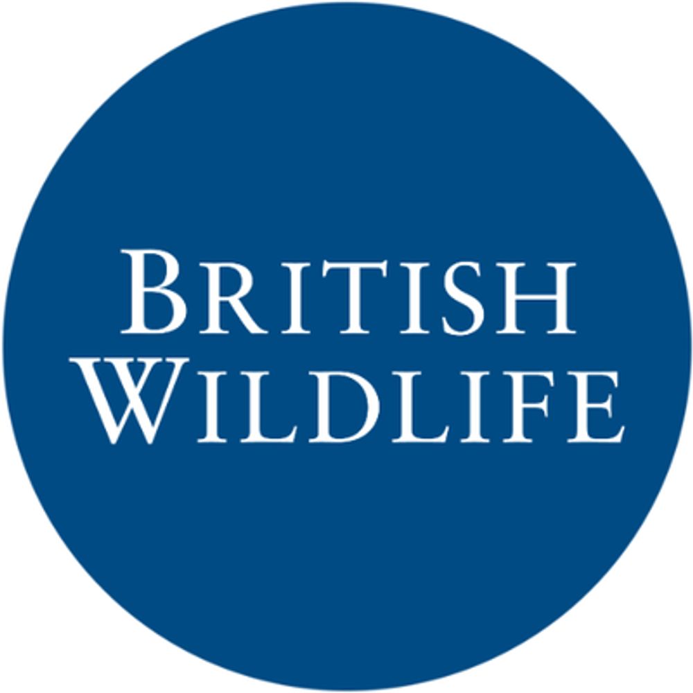 British Wildlife