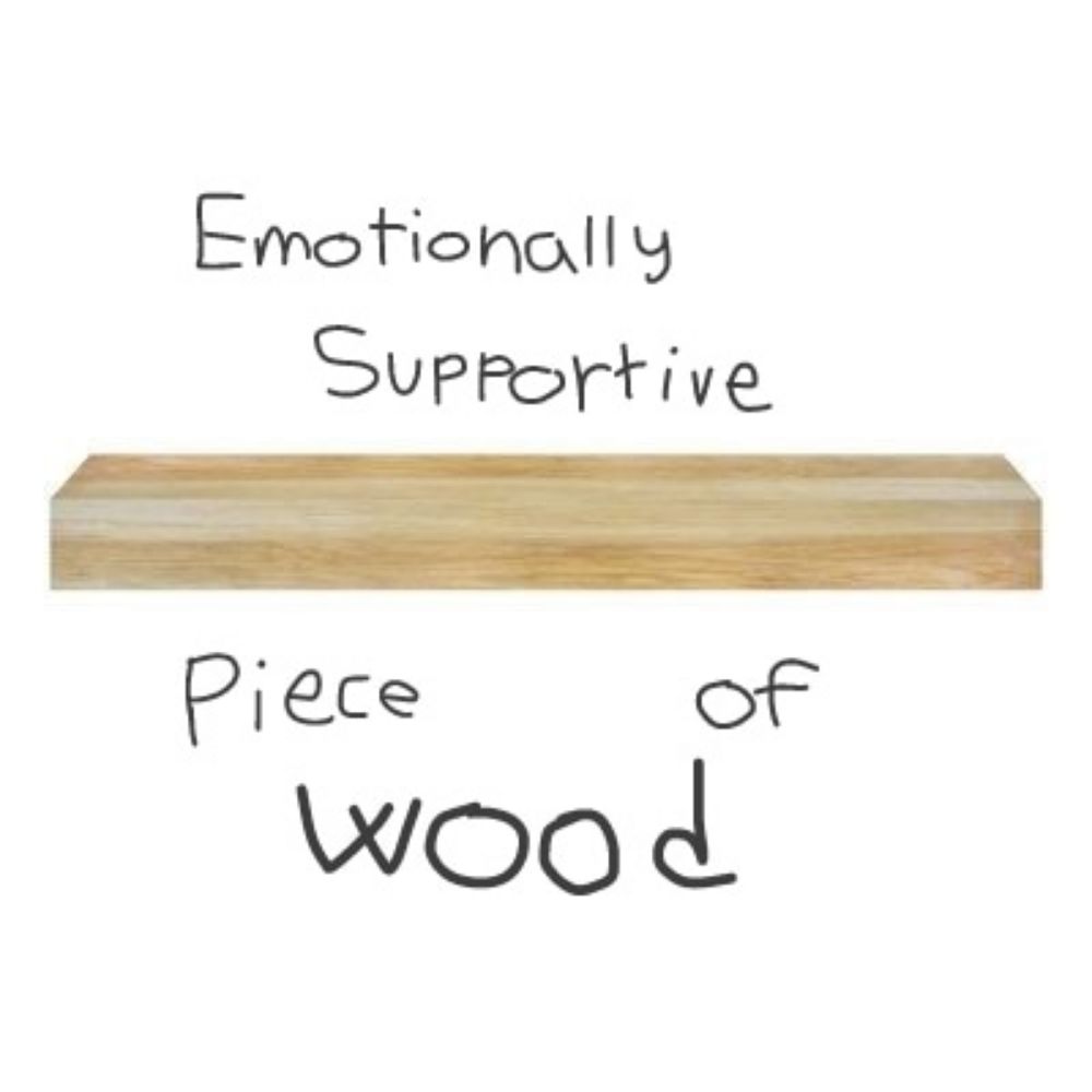 Mikey🏳️‍⚧️