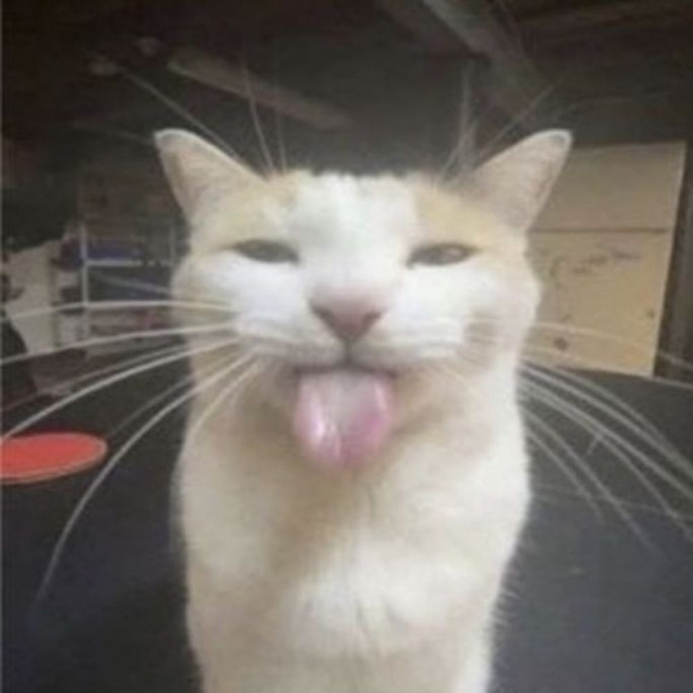 BLEHHH