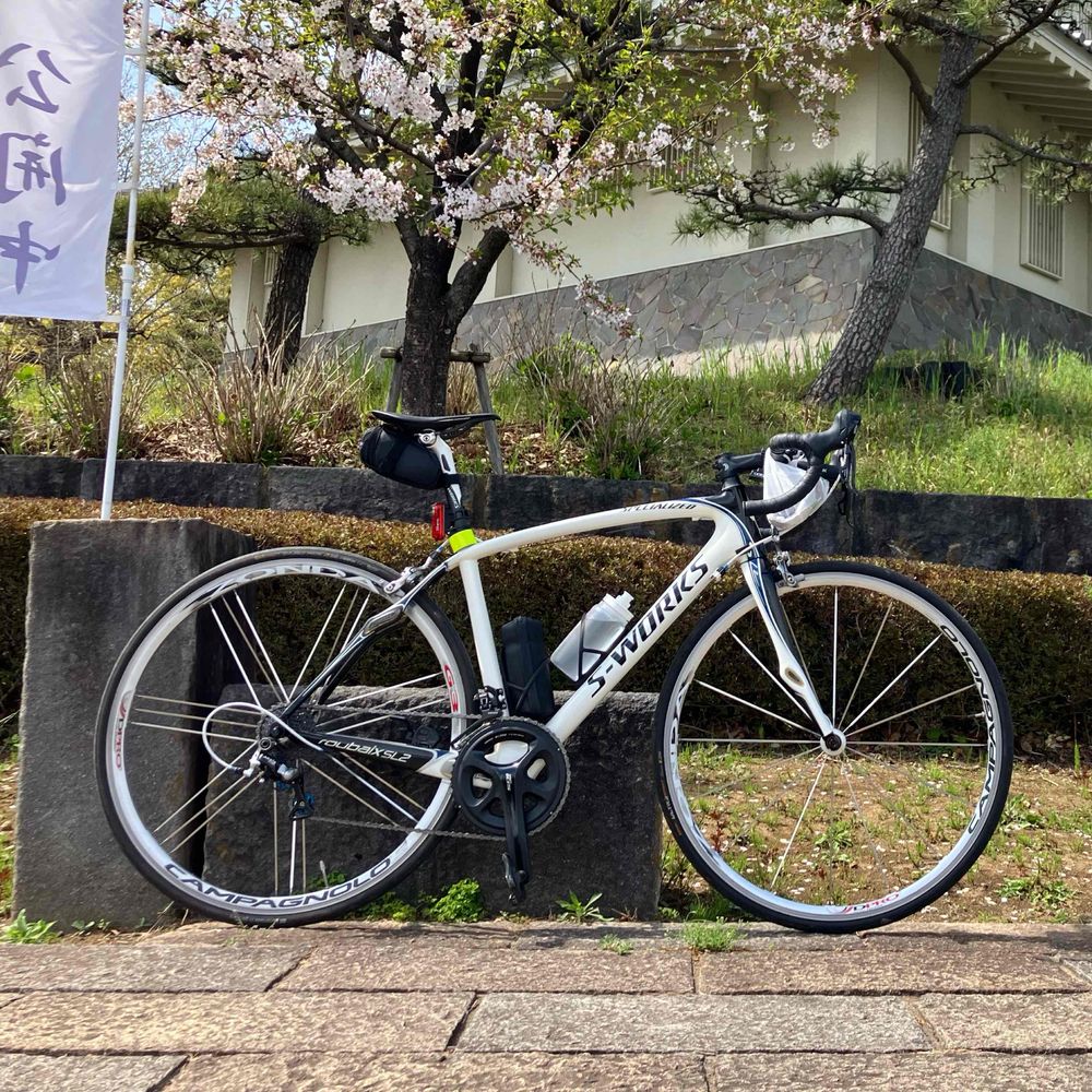 まこ