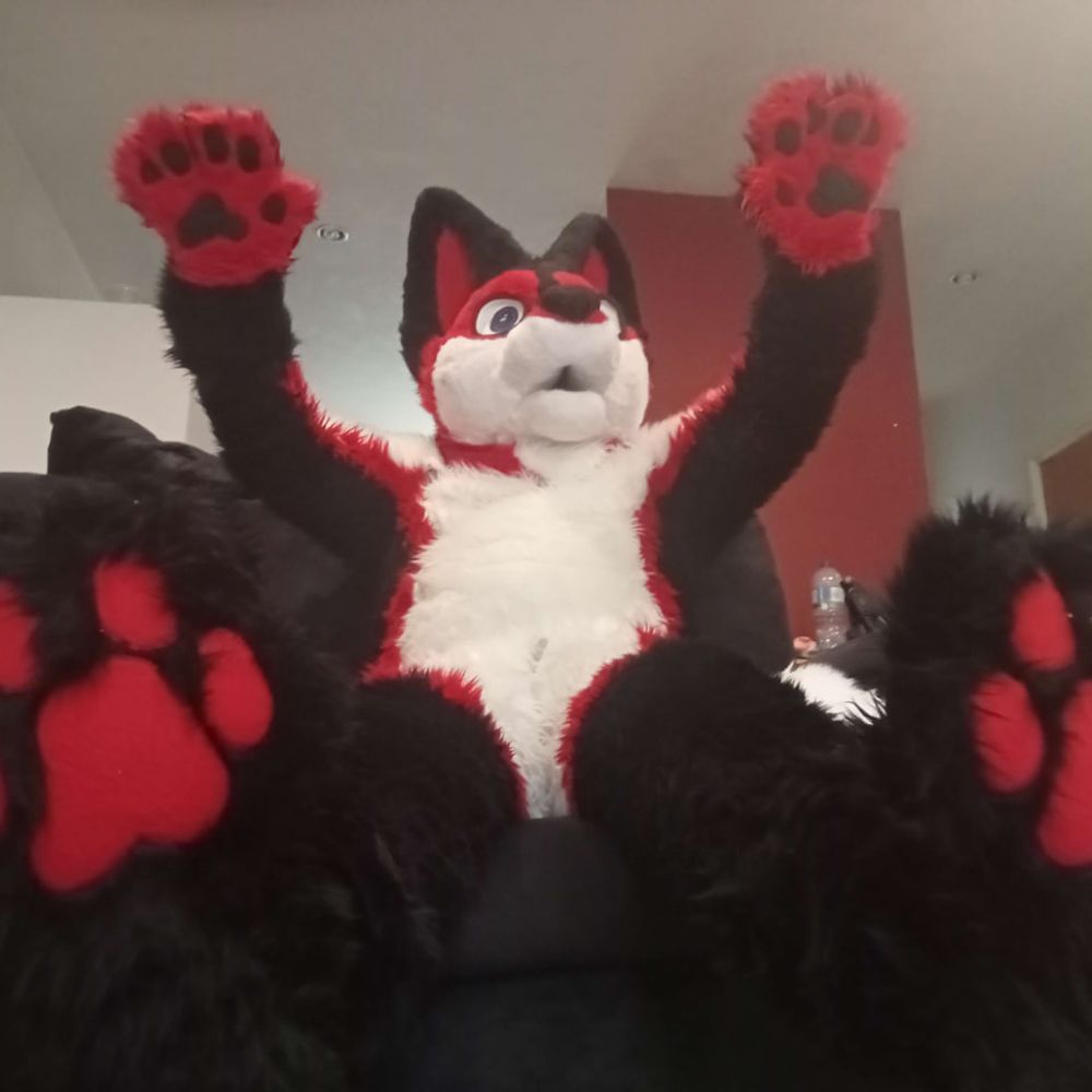 Epsilon Fox