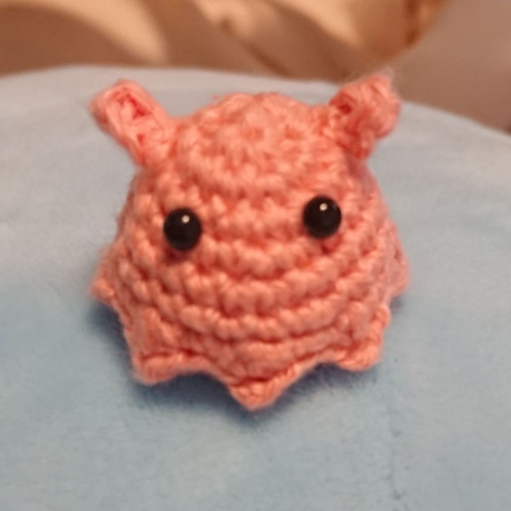 ぷきどん