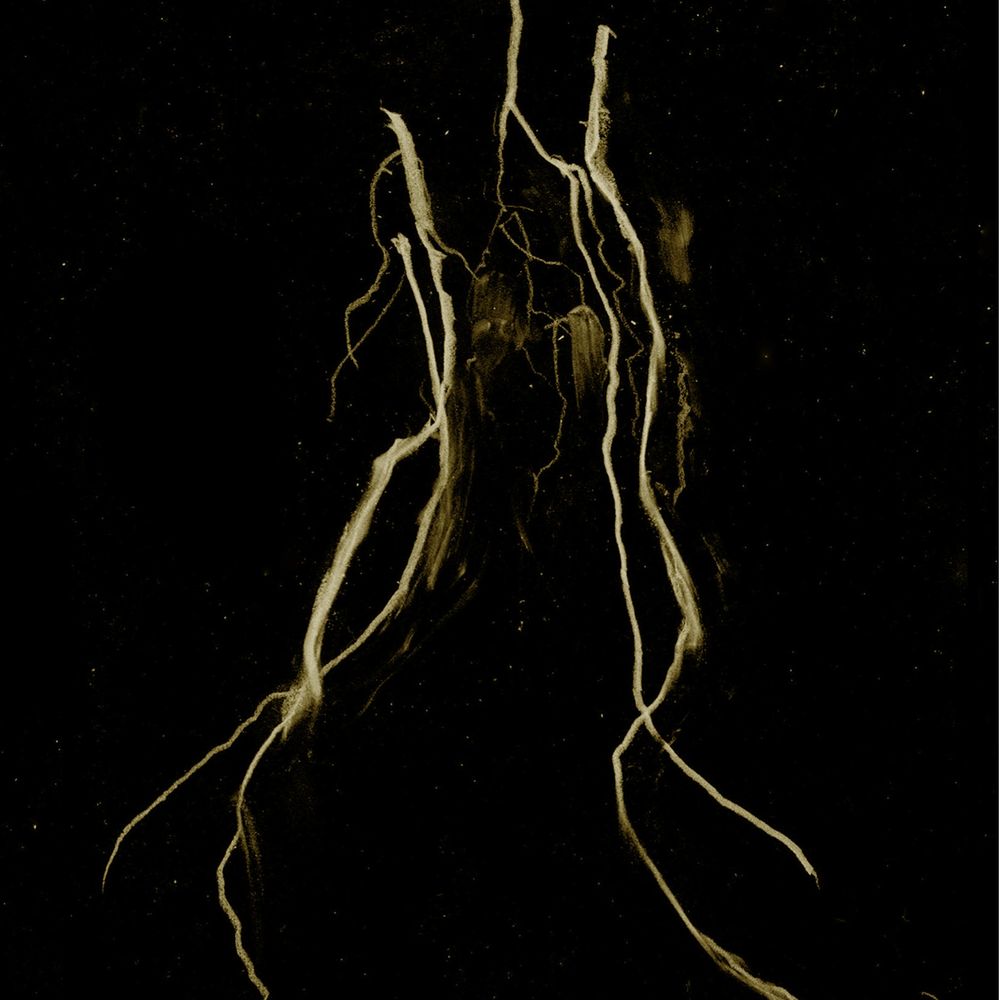 MY HEART, AN INVERTED FLAME