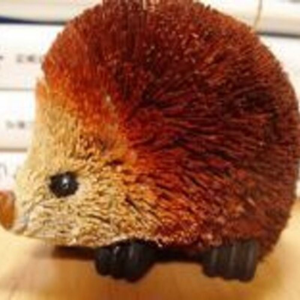 斎藤真理子