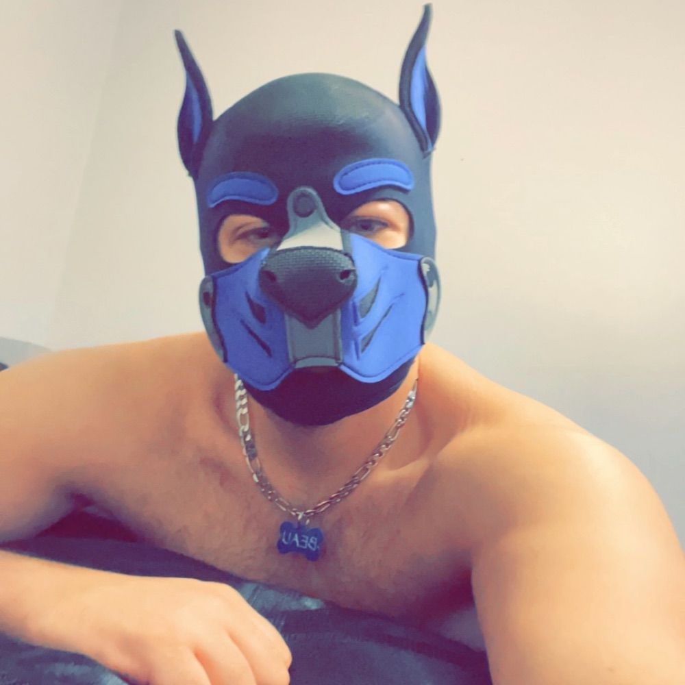 Profile picture thepupbeau.bsky.social