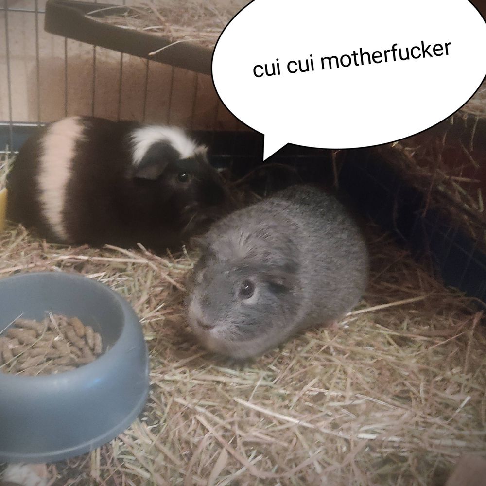 midoucloud