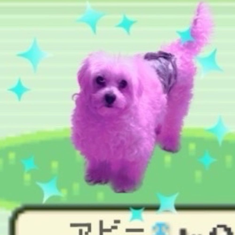 Ddog@モンスト