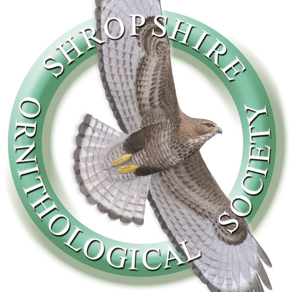 Shropshire Ornithological Society