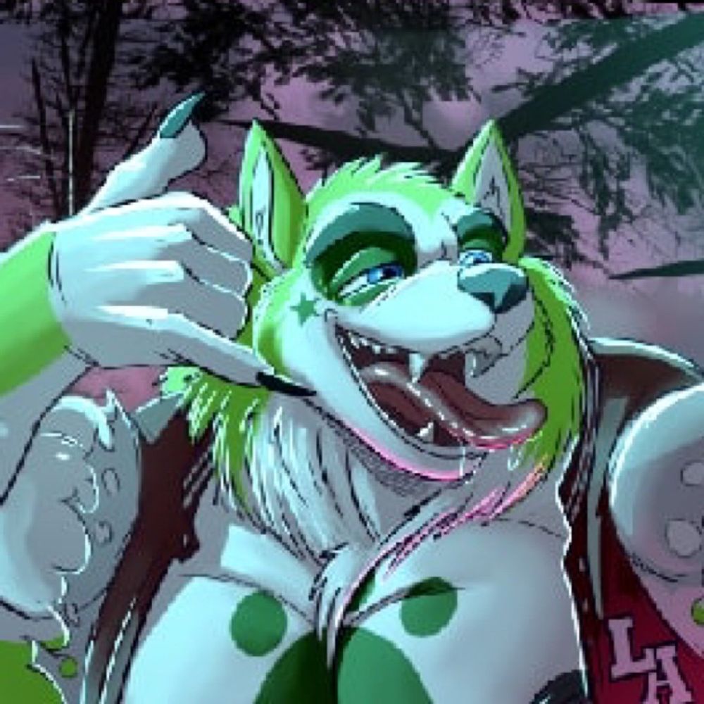 Jaxxy the buff husky