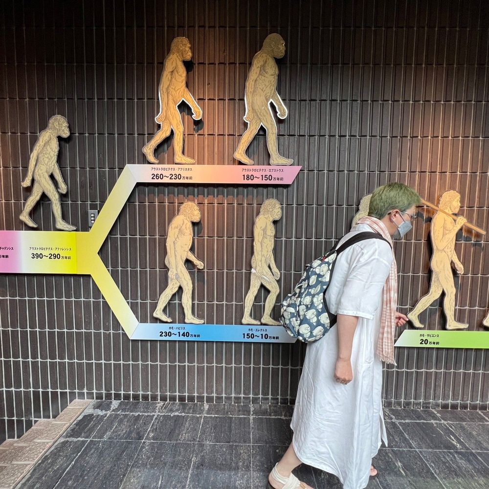 わかめさん（五十肩）