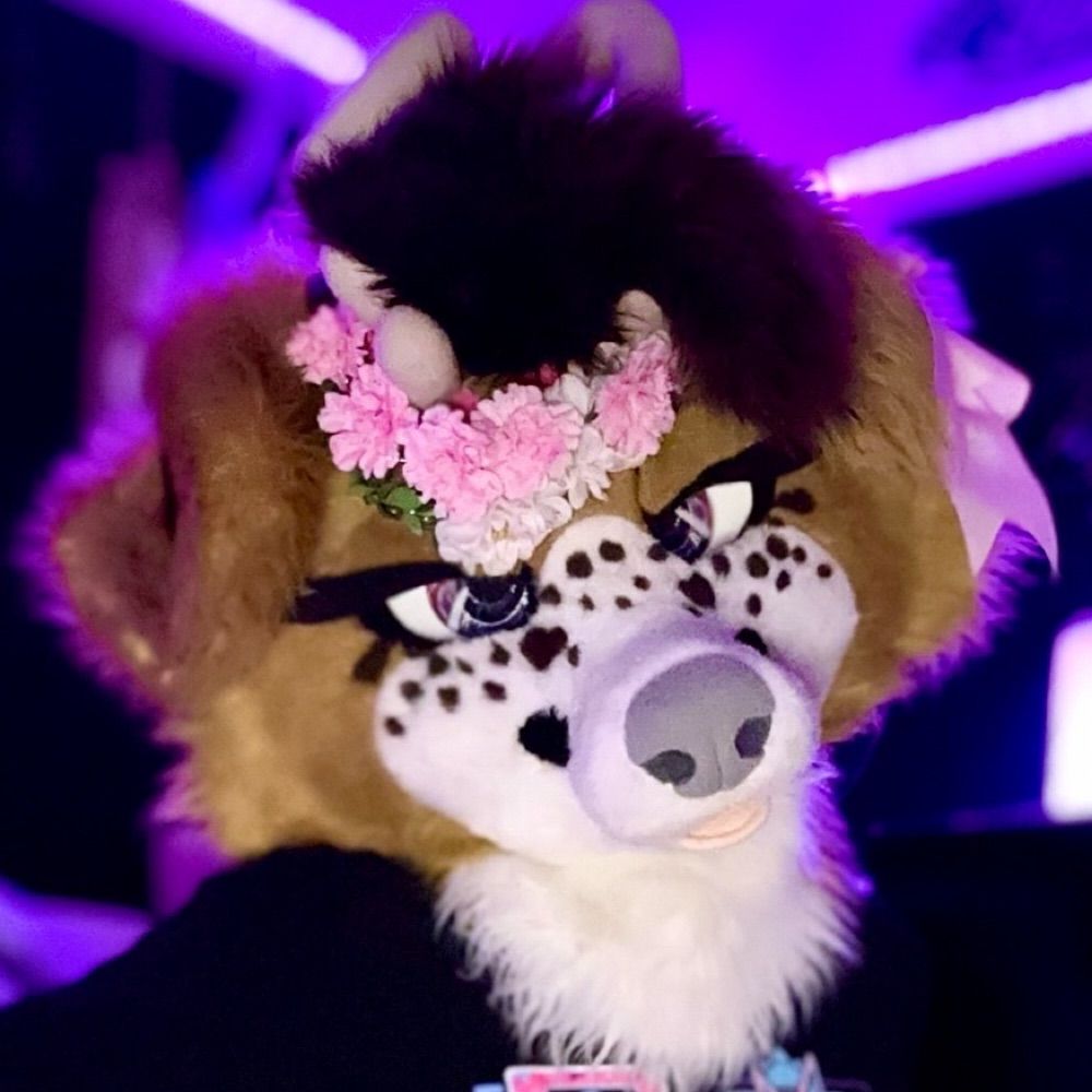 Smelly Deer Puppy