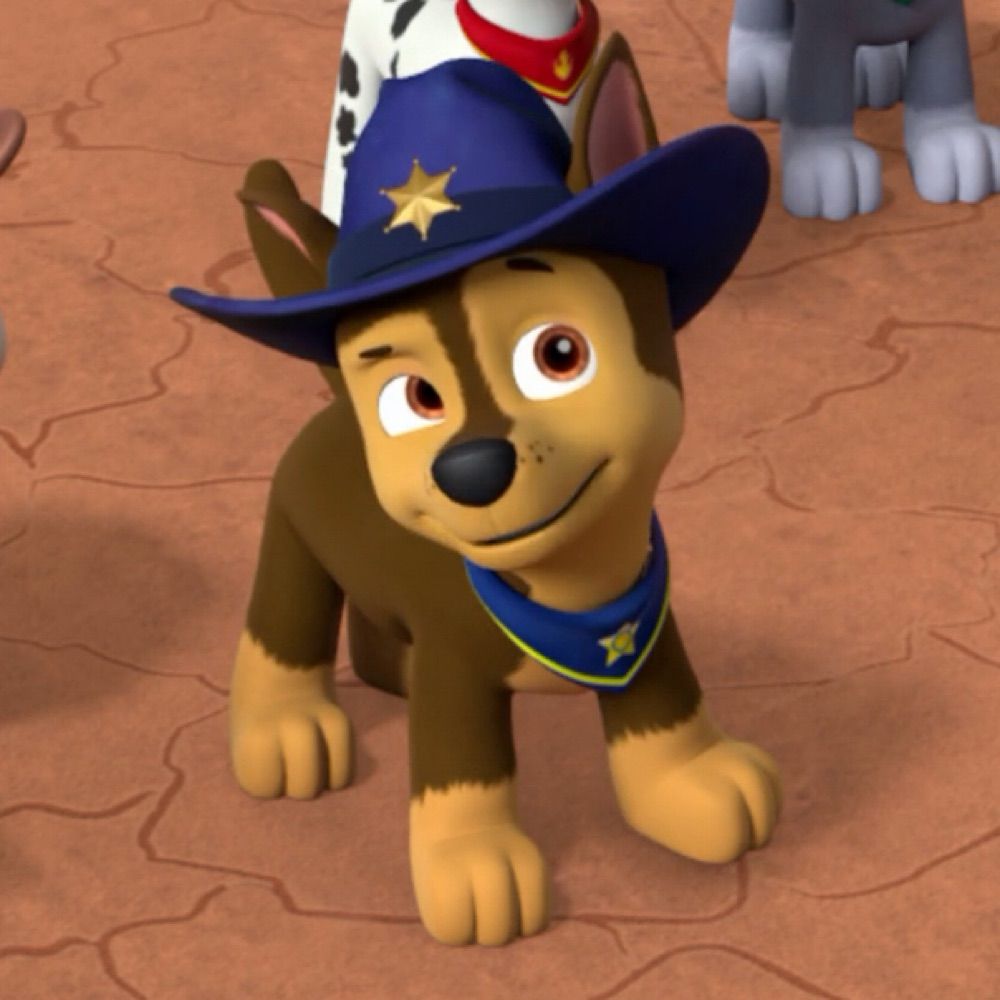 PAWChase [TH]