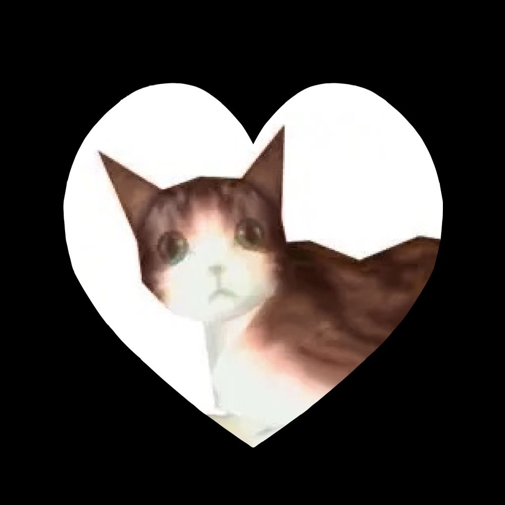 ✿ уαn ✿