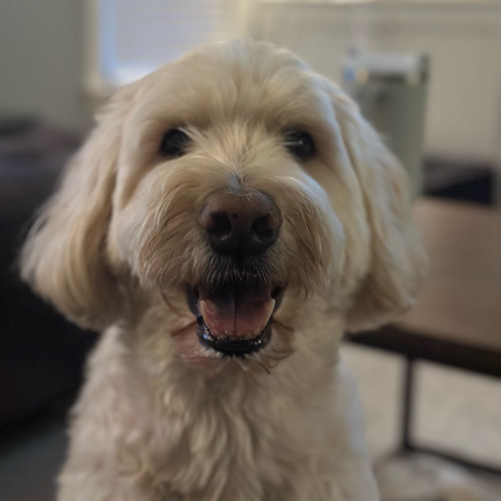 Doug